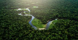 A Amazônia é cenário que mexe com o imaginário de muitas pessoas. Principalmente por ser um lugar exuberante que conta com animais selvagens e diversas lendas folclóricas.