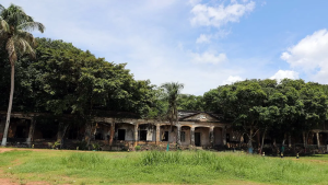 Descubra as Ruínas de Paricatuba em Manaus