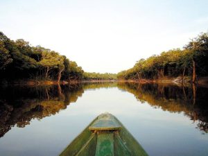 Diário de Bordo: Por onde começar sua viagem no Amazonas?