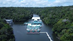 Hotel de selva: como escolher o melhor lugar para se hospedar